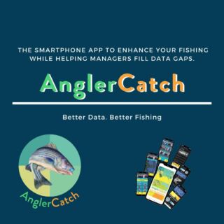 Angler Application